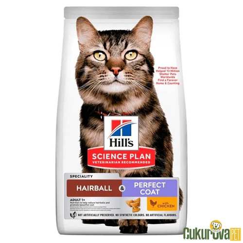 Hill