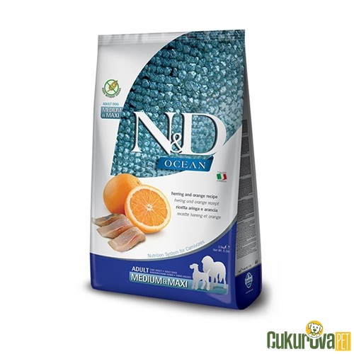 N & D Ocean Ringa Balıklı Portakallı Orta ve Büyük Irk Yetişkin Köpek Maması 12 Kg