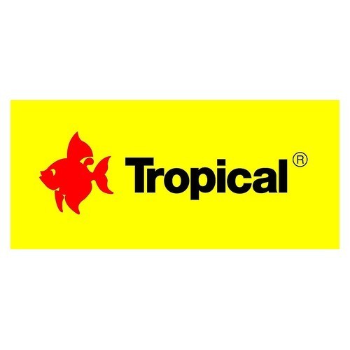 TROPICAL