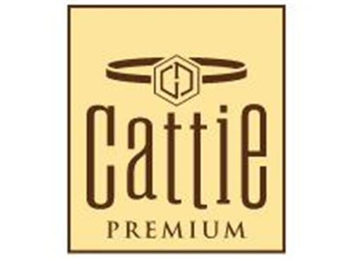 CATTIE
